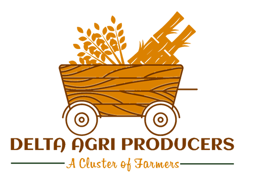 DELTA AGRI PRODUCERS